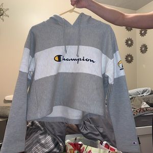Champion Grey Cropped Hoodie Kent State